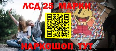гидропоника Будённовск