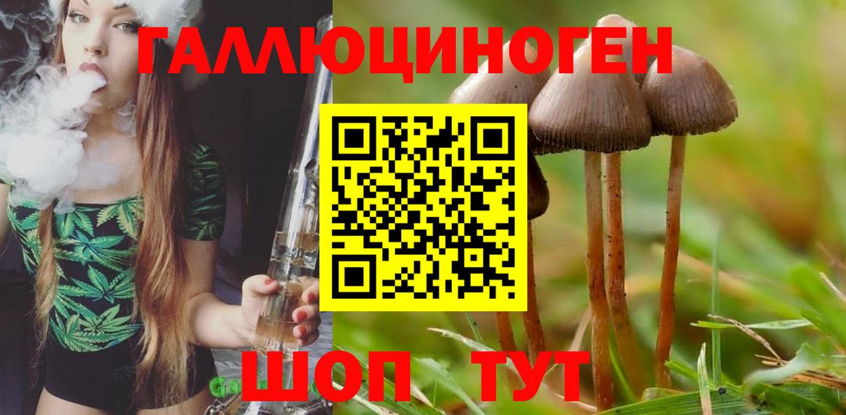 Галлюциногенные грибы мицелий Саранск
